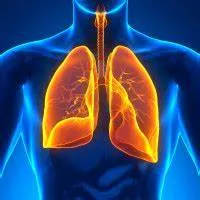 LungExpand Pro Reviews